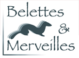 Belettes & Merveilles