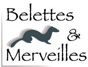 Belettes & Merveilles